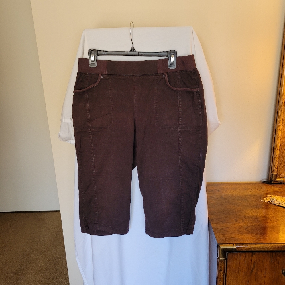 Christopher & Banks Capri Jeans 10 (314)